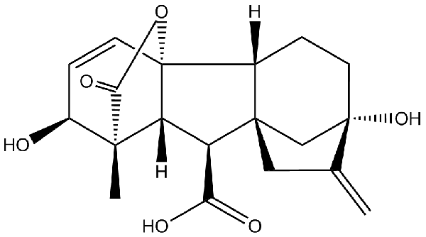 赤霉素GIBBERELLIC ACID，居然有這么神奇？